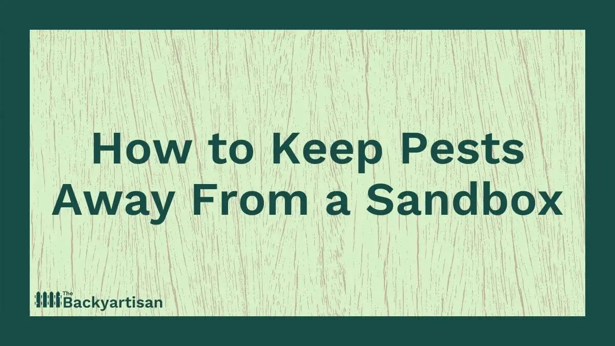 How to Keep Pests and Insects Out of Your Sandbox The Backyartisan